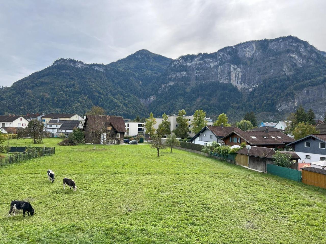 Karrensicht * Dornbirn